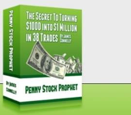 Penny Stock a Begining to an End